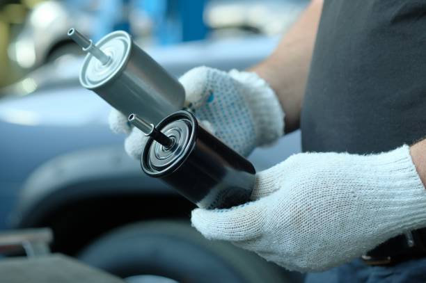 Premium fuel filter for importers and e-commerce buyers