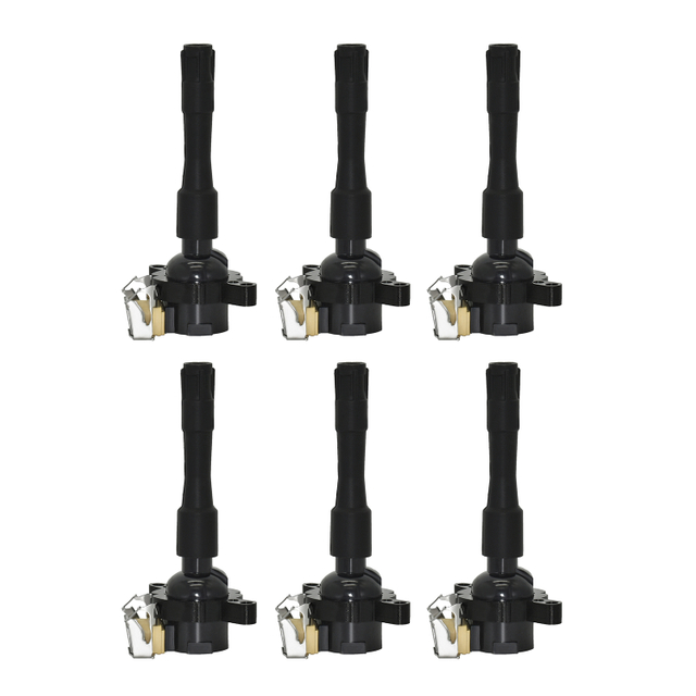 OE 12131748017 12131748018 BMW Ignition Coil | Fits 1999 BMW 323i, 2000 BMW 323i, 328i, 528i E39 E46